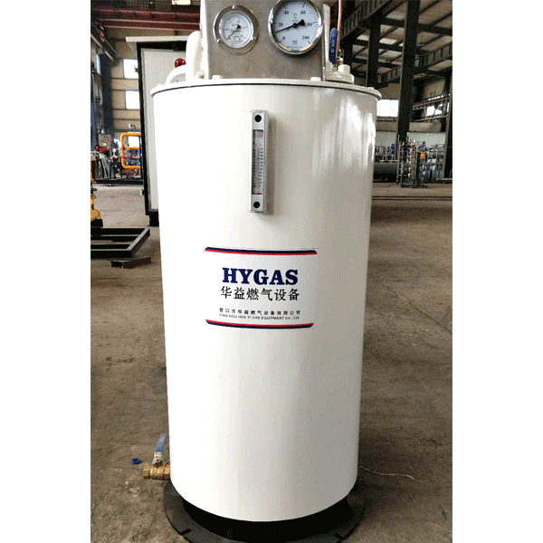 LPG电热水浴式气化器 HYD-B-600