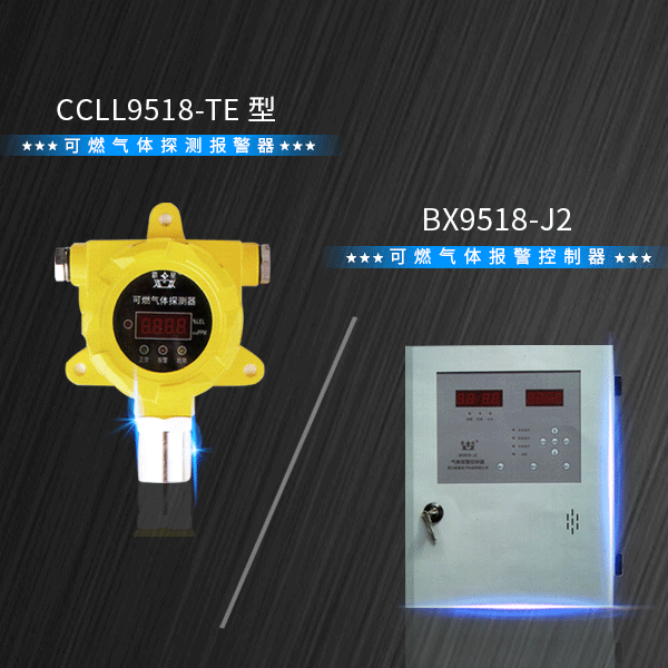 【营口新星】霸星 可燃气体检测仪燃气泄漏探头套装 BX9518-J2/CCLL9518-TE